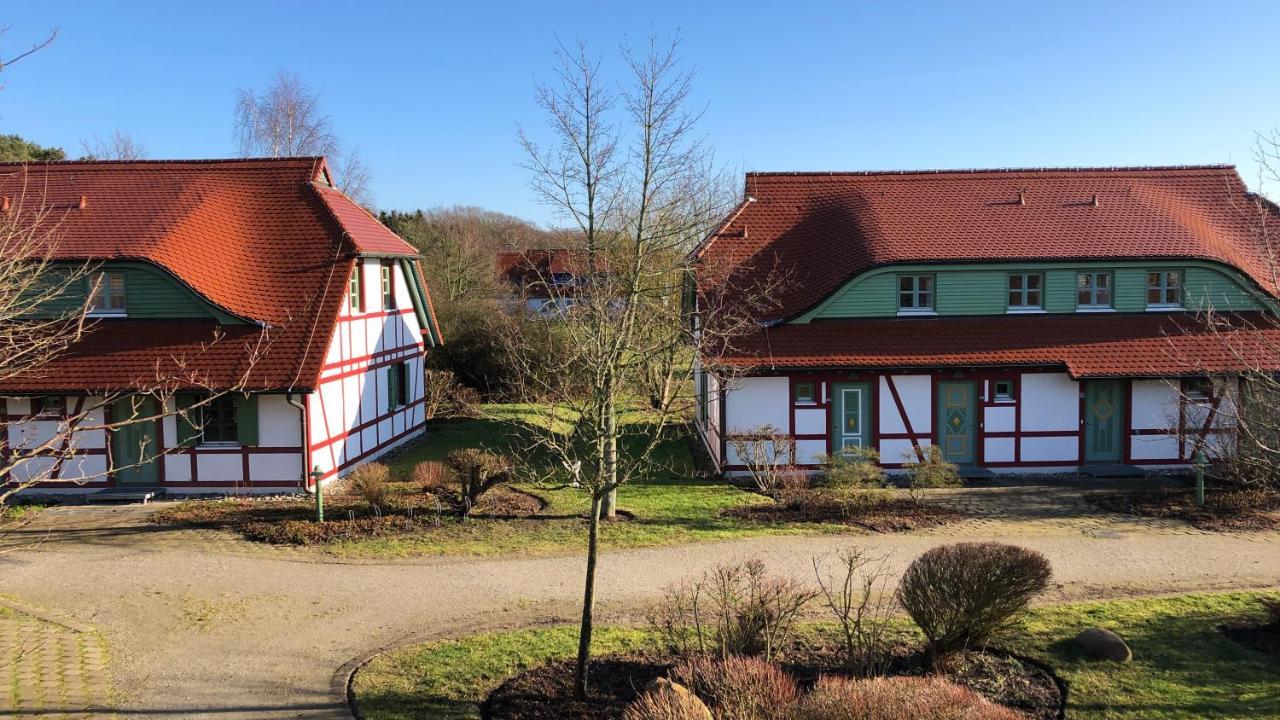 Feriendorf Rugana Insel Ruegen Fewos Vogelgesang Dranske Kültér fotó